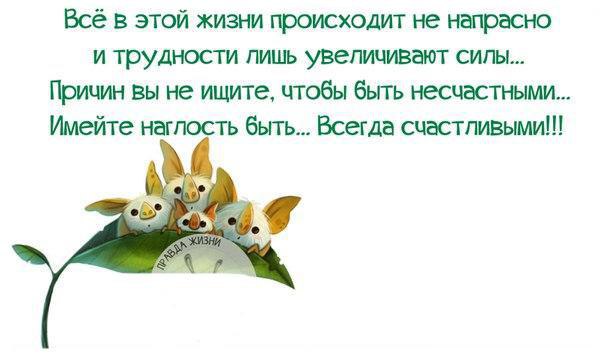 Будь правдивым и честным чтобы ни случилось схема