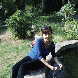, 53 , 