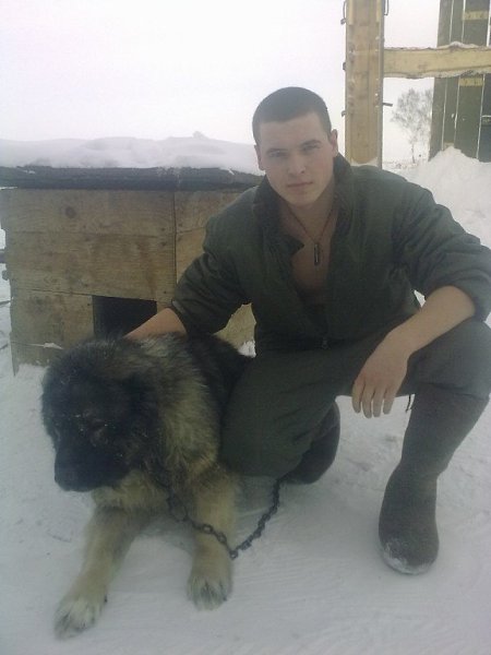 Фото Муж Волк