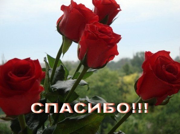 Картинки цветов с надписью спасибо