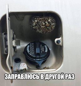 Россия-щедрая душа