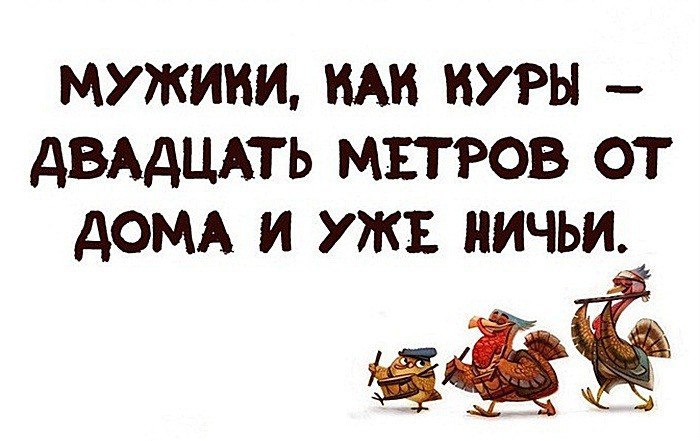 Мужики как куры 20 метров от дома и уже ничьи картинки