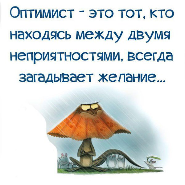 Картинки про оптимизм в жизни, путиным медведевым