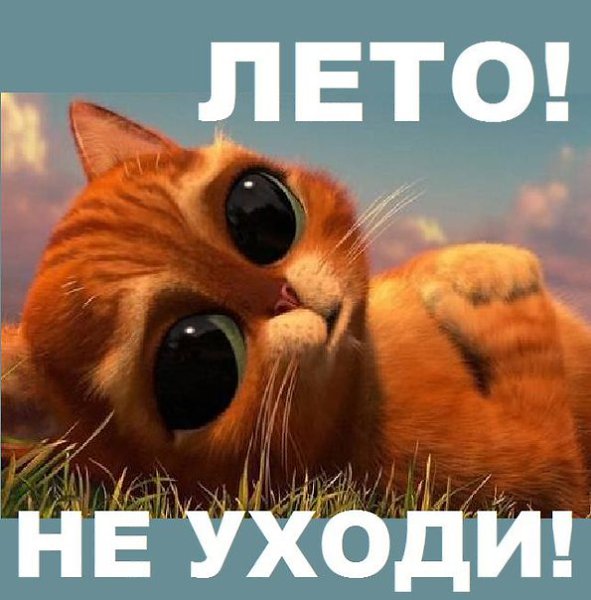 Прикольные картинки не уходи лето, добрым