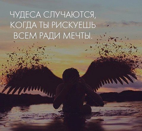 Чудеса случаются и мечты сбываются картинки