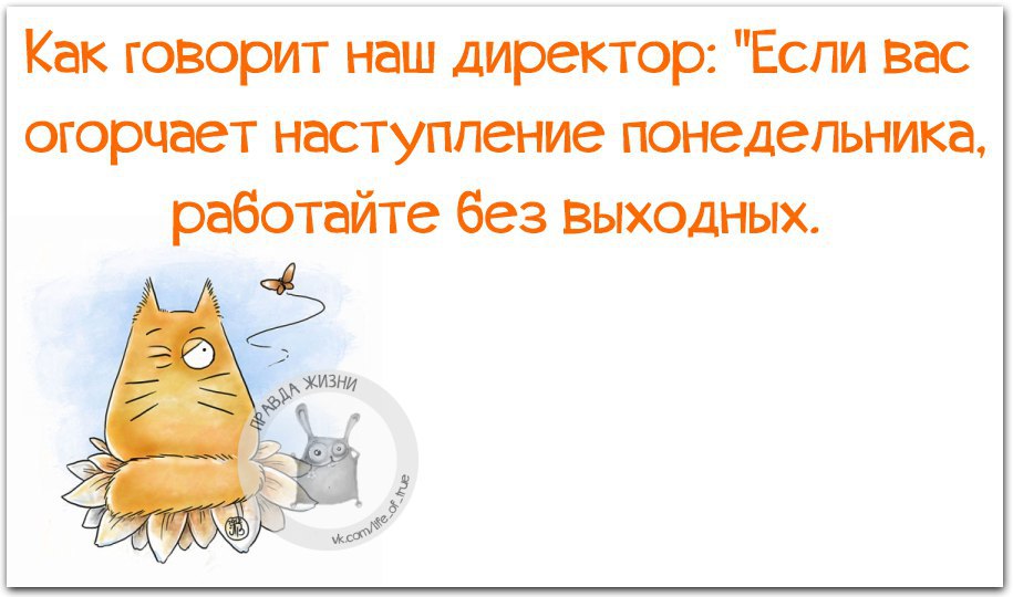 Понедельник выходной. Если вас огорчает наступление понедельника. Если вас огорчает наступление понедельника работайте. Если вас огорчает понедельник работайте без выходных. Огорчает наступление понедельника работайте без выходных.