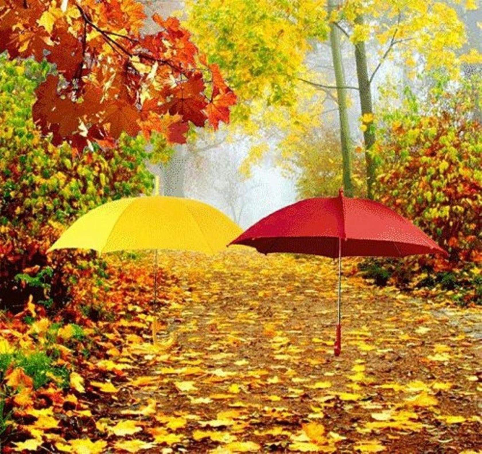 Золотая осень зонтик