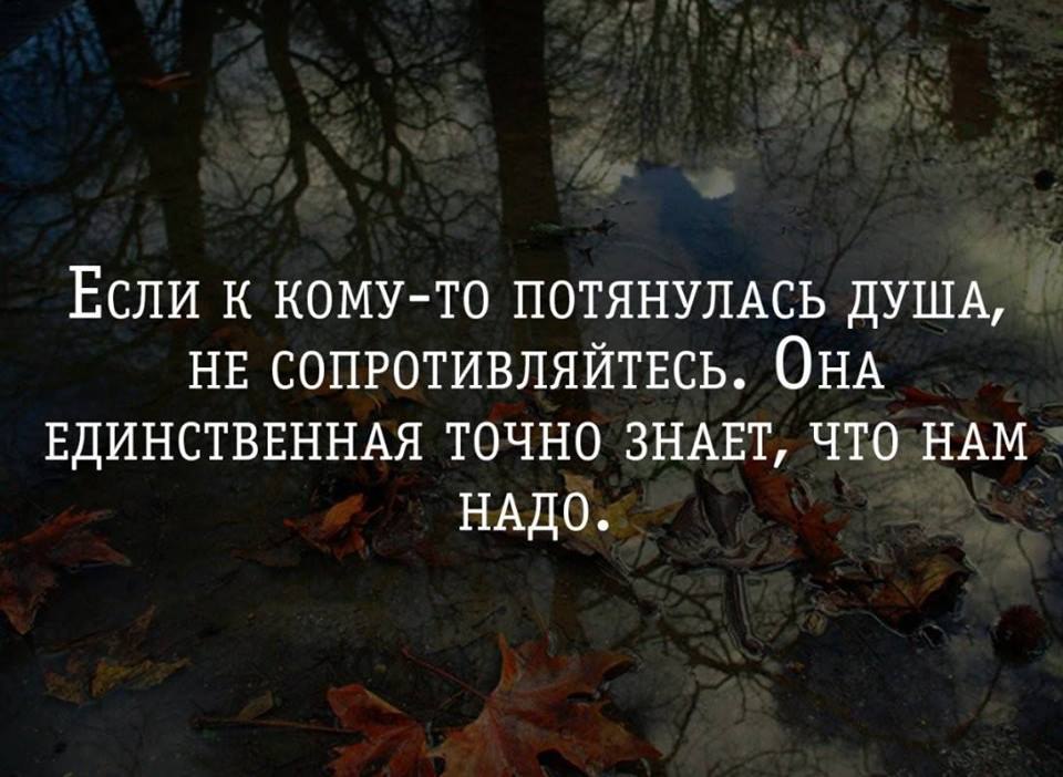 К тем к кому. Если к кому-то потянулась душа не сопротивляйтесь она единственная. Если к кому-то потянулась душа. Если к кому-то потянулась. Если душа.