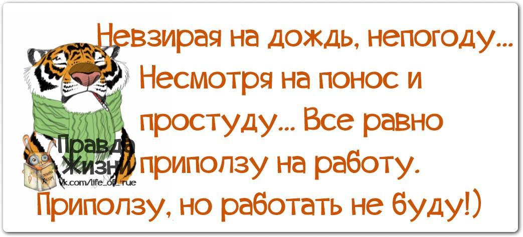 Приползу с работы чисто приберу приготовлю что то лягу и умру картинки