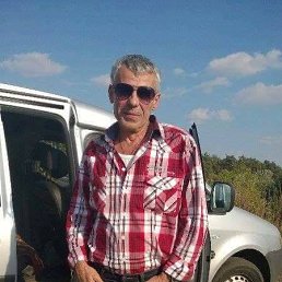 , 66 , 