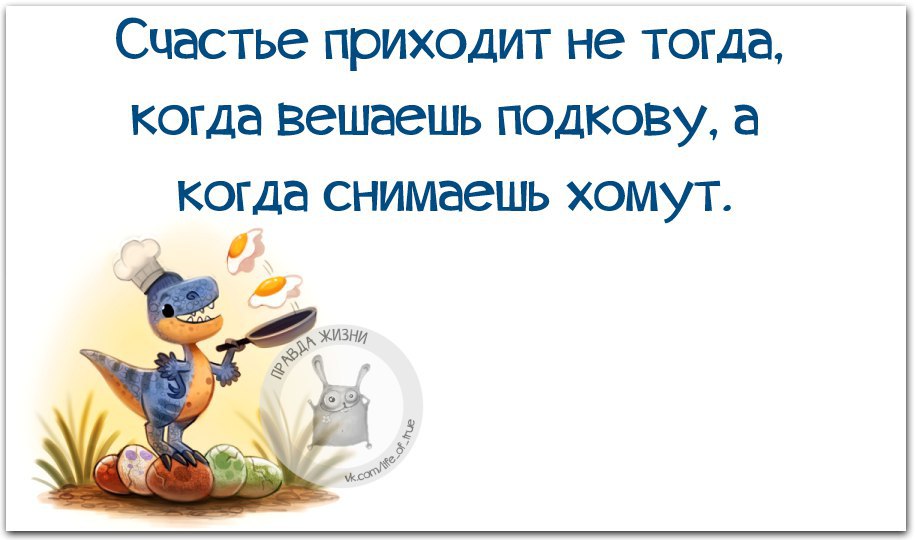 Счастье придет. Счастье приходит не тогда когда вешаешь подкову а когда снимаешь. Счастье приходит не когда вешаешь подкову. Счастье приходит не когда вешаешь подкову а когда снимаешь хомут.