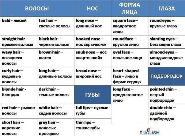 Описание человека на английском план