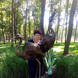 , 66 , 