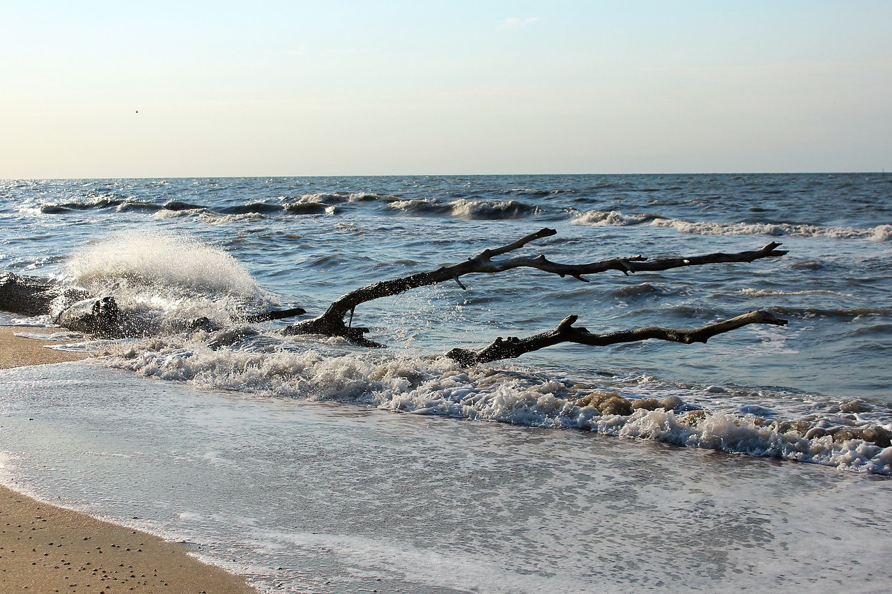 Волны на Азовском море в Голубицкой