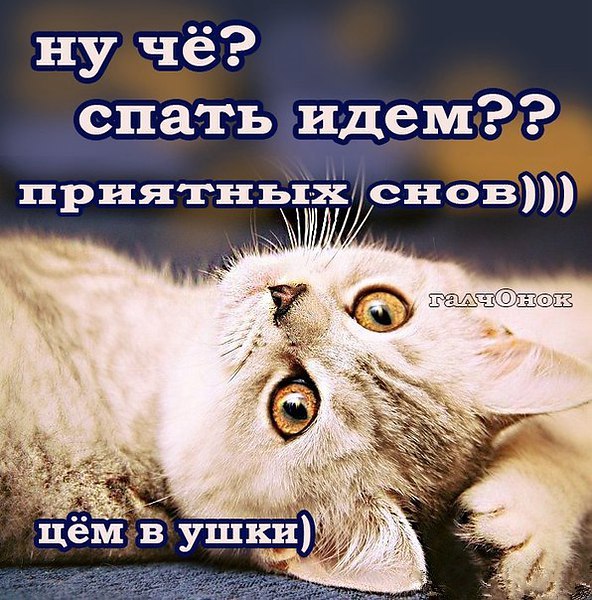 Мышь, картинки спать идем
