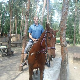 Дмитрий, 25 лет, Северодонецк