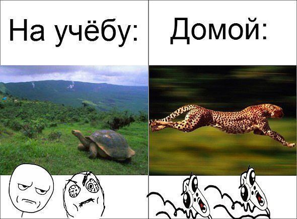 Смешные мемы про учебу