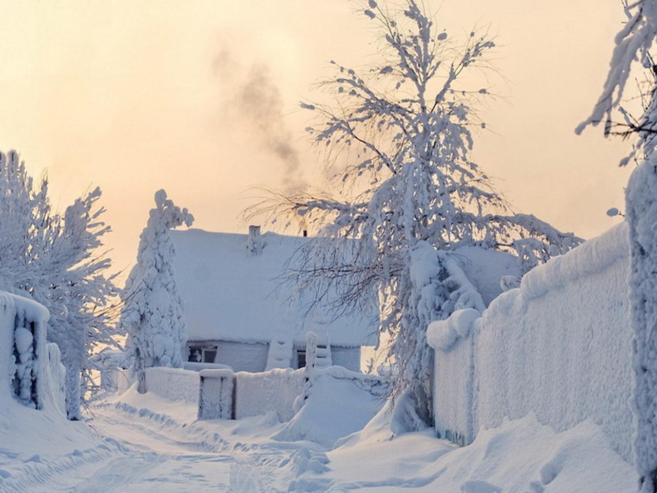Снежное утро в деревне