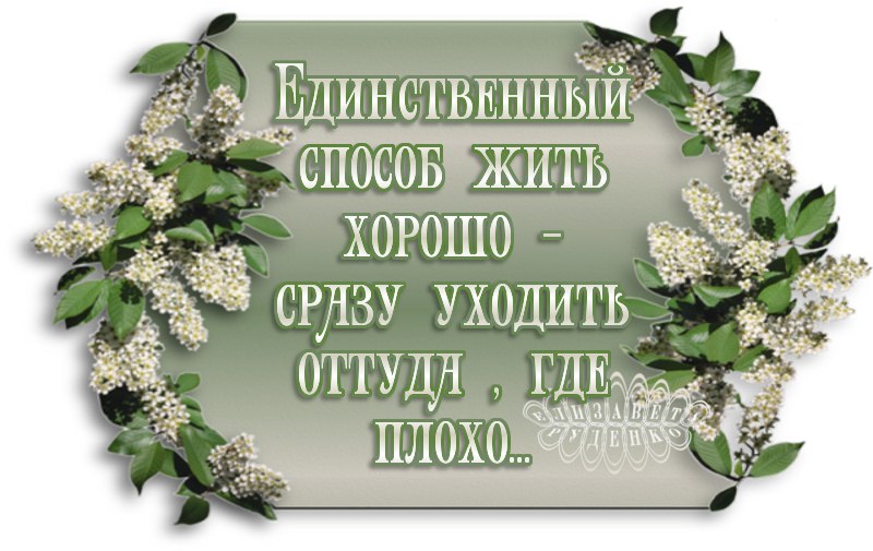 Единственный способ жить хорошо сразу уходить оттуда где плохо картинки