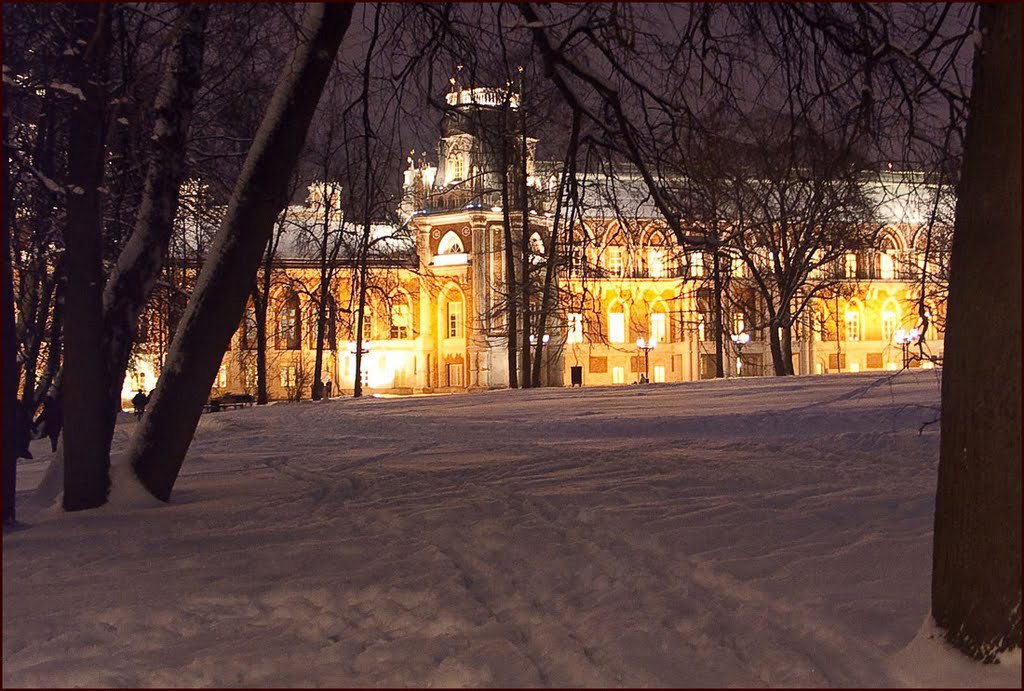 Парк царицыно ночью зимой