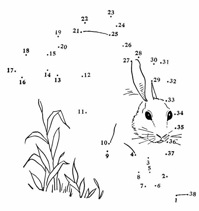 Рисунок по точкам заяц