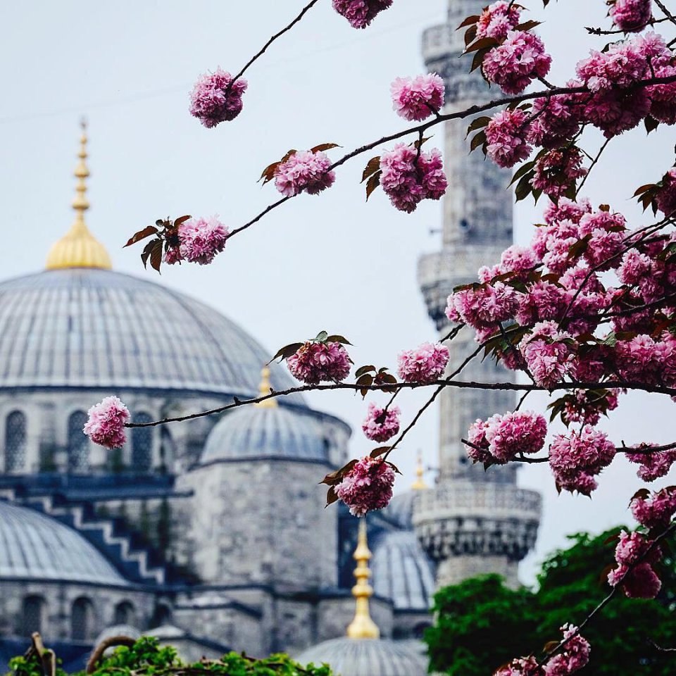 Весна в Стамбуле