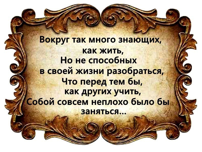 О том о сем картинка