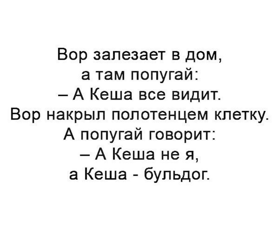 Шутки и приколы в картинках с надписями поржать до слез