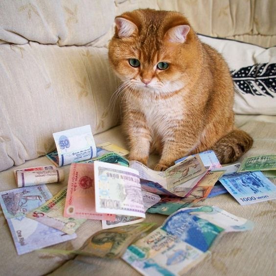 Сижу, думаю, где бы мне отдохнуть… Подсчитала деньги — поняла, что не устала…)))