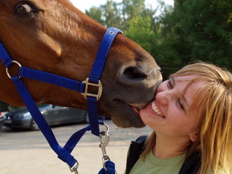 Девушка целует лошадь фото