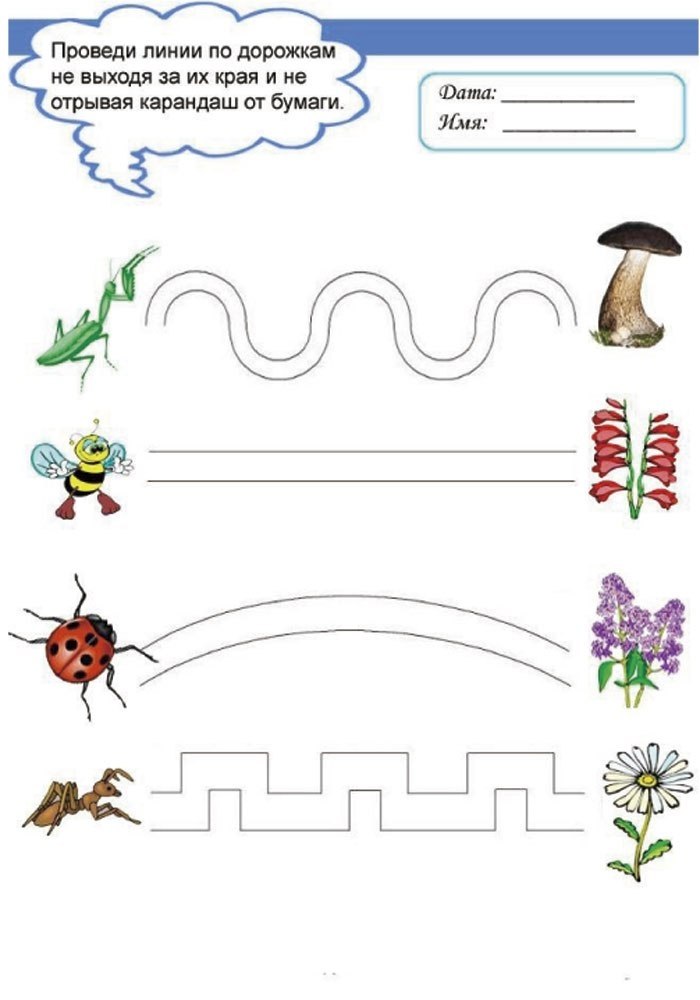 Проведи по фотографии. Задания для детей на тему насекомые. Дорожки насекомые для дошкольников. Задания по теме насекомые для дошкольников. Насекомые задания для дошколят.