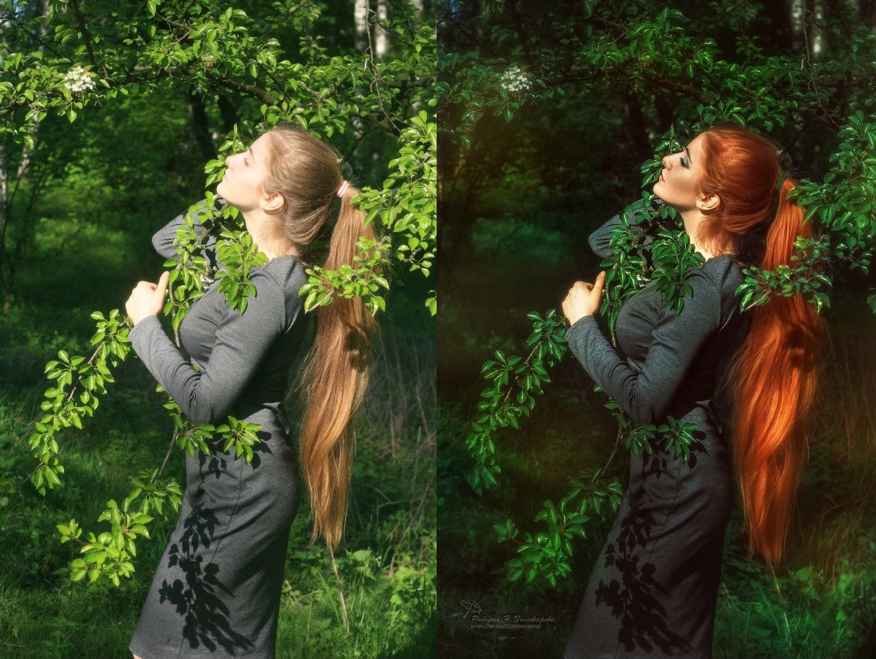 �������� � ��������