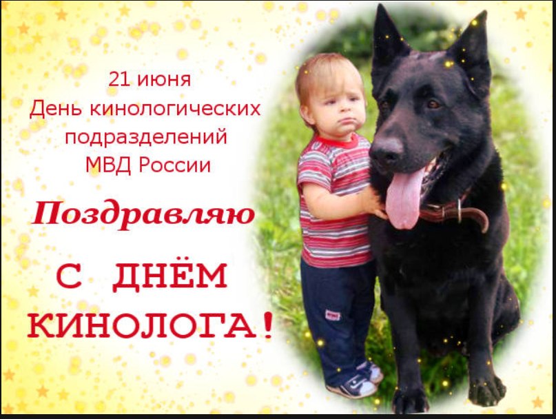 Открытки с днем рождения кинолога
