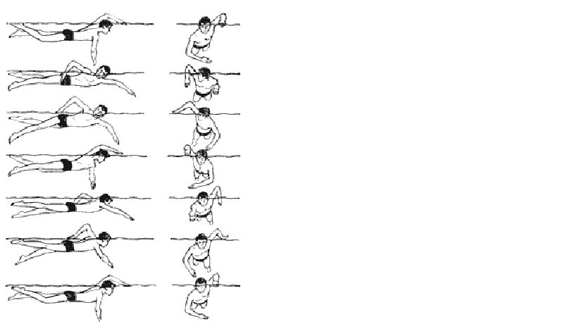 Правильный гребок в кроле схема - 84 фото