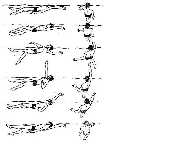 Как плавать кролем схема
