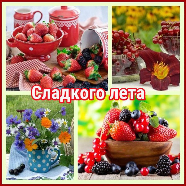 Лето нельзя не любить оно же вкусное картинки