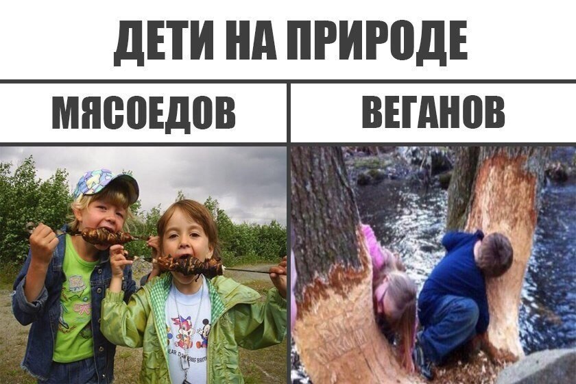 Смешные картины до слез