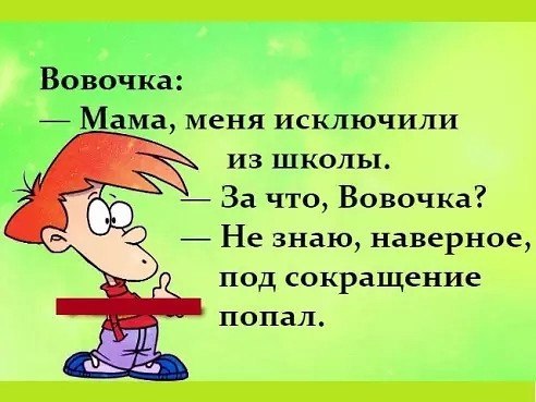 Исключение из правил. Вовочка в школе. Вовочка меня исключили из школы. Исключили из школы. Меня исключают из школы.