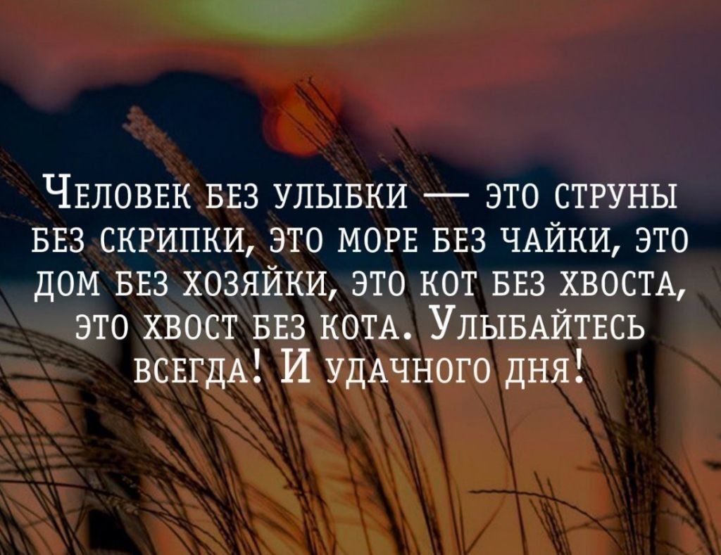 Все разнообразие вся прелесть вся красота жизни слагается из тени и света составить схему