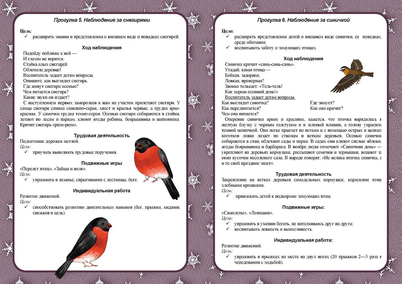 Наблюдение в группе зимой. Картотека прогулок средняя группа февраль. Картотека прогулок в средней группе. Каротекапрогулок в средней группе. Наблюдения зимой в средней группе.