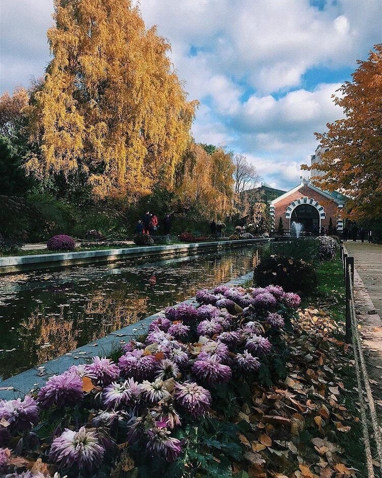 К ботанический сад москва