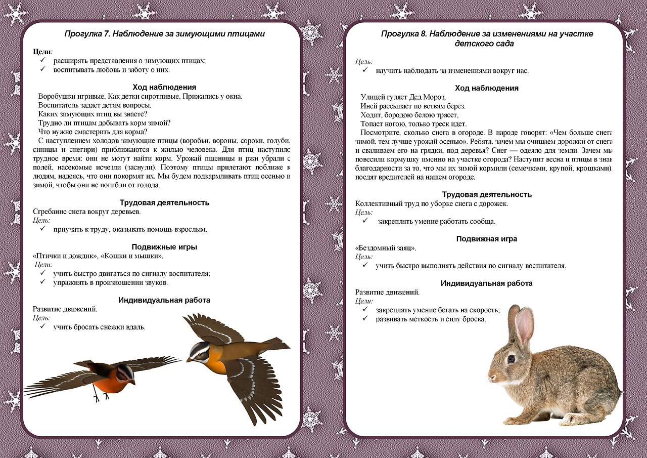 Картотека прогулок по группам. Прогулка в средней группе. Наблюдение в средней группе. Картотека прогулок средняя группа февраль. Картотеки прогулок в средней группе на год.