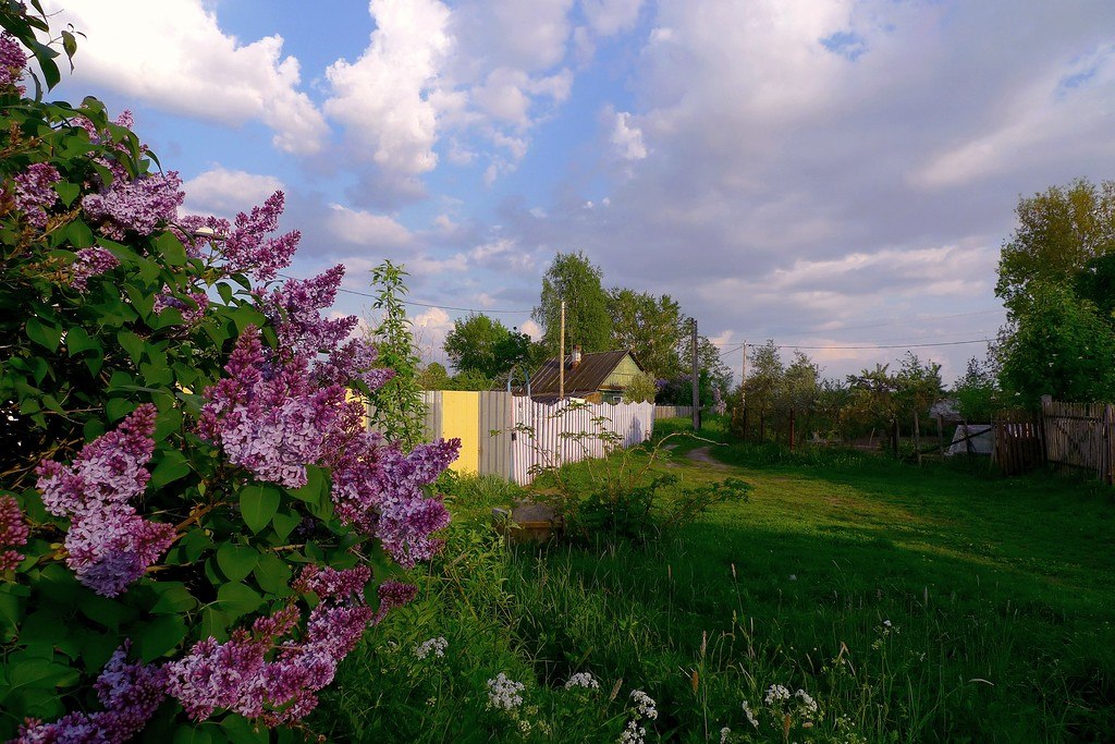 Солнечный день в деревне