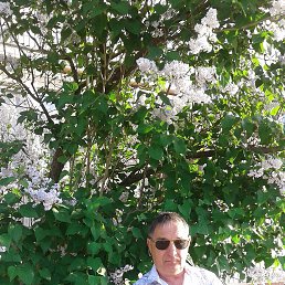 , 59 , 