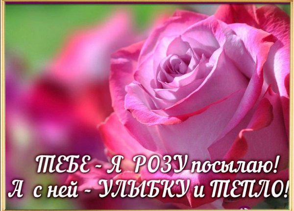 Спасибо наташенька открытки
