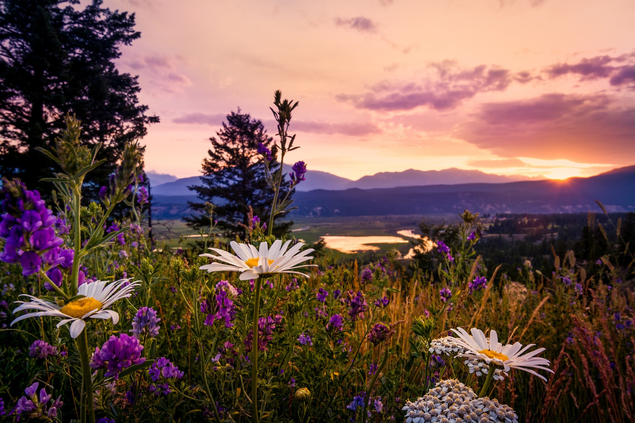 Фото с видами лета