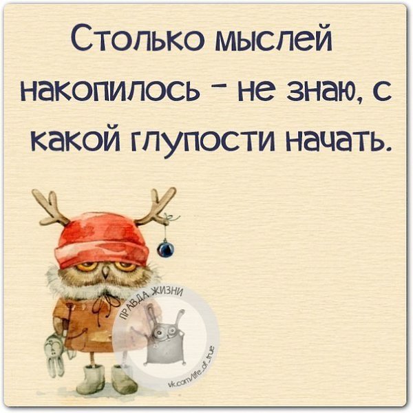 За ночь столько мыслей накопилось даже не знаю с какой глупости день начать картинки