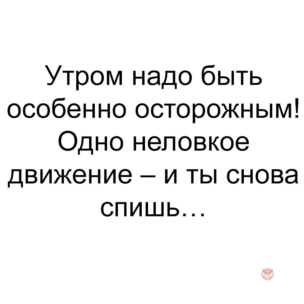 Утром надо быть особенно осторожным одно неловкое движение и ты снова спишь картинки