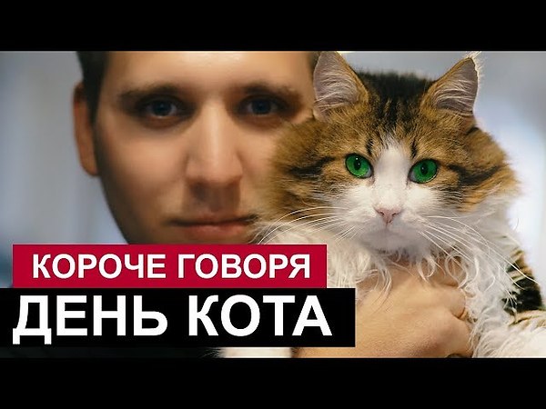 Короче говоря идеальный день паши ляма