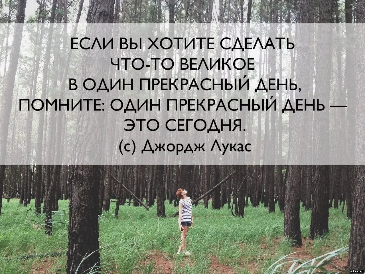 Фразы сегодня. Цитата дня. Афоризм дня. Цитаты о сегодняшнем дне. Цитаты про сегодняшний день.